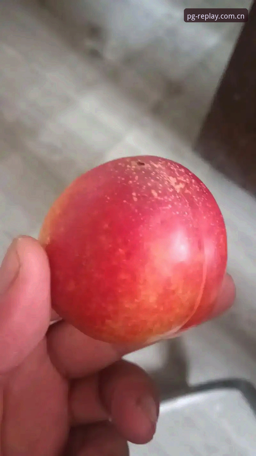 凌晨一点，手机屏幕在床头柜上亮起又暗下。陈远航又一次点开了那个页面。他老练地扫过屏幕上滚动的赛程表，手指在安卓端和网页版之间切换。"现在这数据，和五年前完全不同。"他指指屏幕上一串积分数字。时间点，节点，冷门时段——这些词在他嘴里快速蹦出。作为长期关注电子游戏中国站的老手，他已经习惯用数据分析来替代热情预测。他把手机放下，又拿起来，还是放了回去。"后天这场，我琢磨了一下，觉得有点意思。"